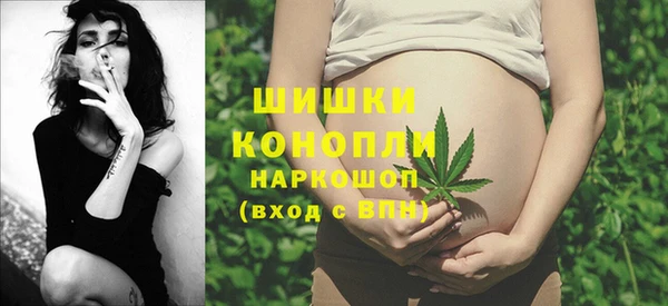 мдпв Вяземский