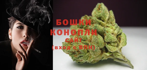 эйфоретик Гусь-Хрустальный