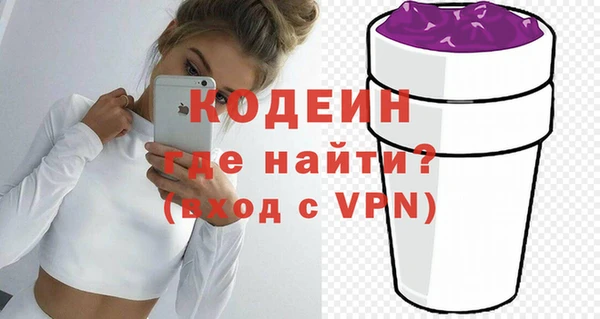 эйфоретик Гусь-Хрустальный