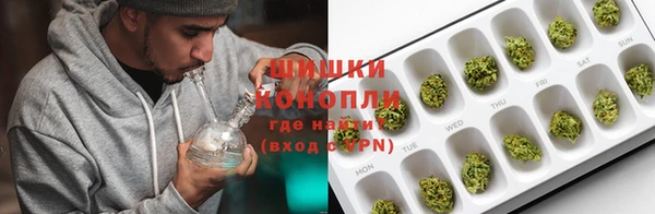 мдпв Вяземский