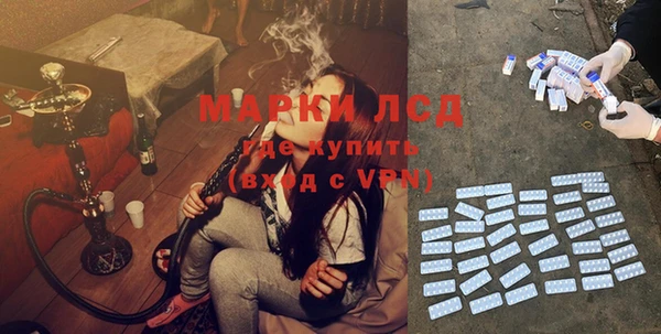 мдпв Вяземский