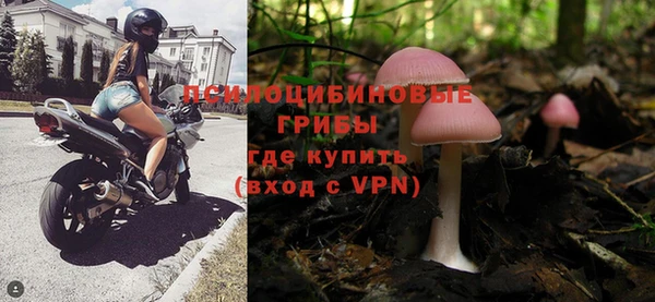 эйфоретик Гусь-Хрустальный