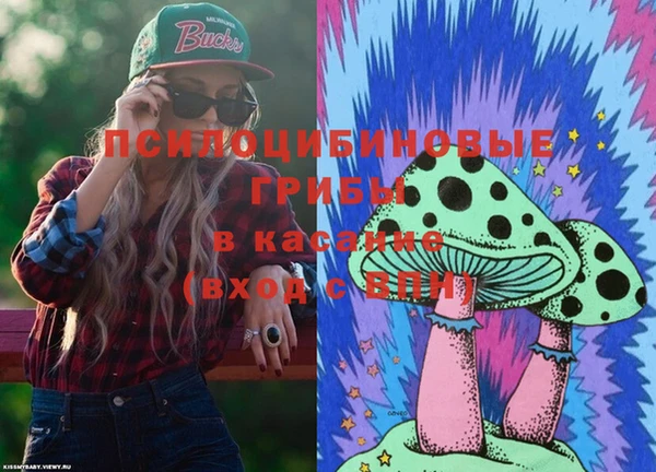 мдпв Вяземский