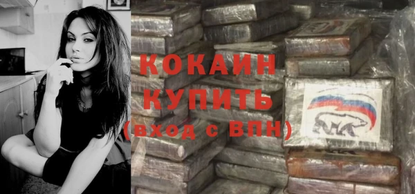 эйфоретик Гусь-Хрустальный