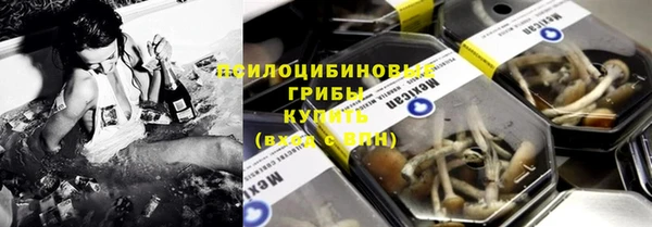 эйфоретик Гусь-Хрустальный