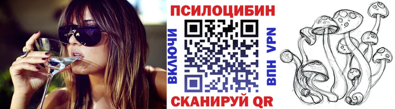 Псилоцибиновые грибы Cubensis  кракен зеркало  Железногорск-Илимский  цена наркотик 